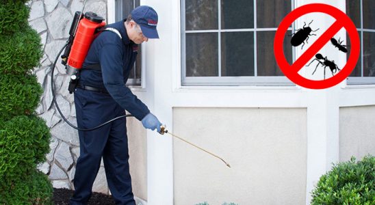Dodurga Böcek İlaçlama böcek ilaçlama ve haşere kontrolü — ilaclama-tr.com